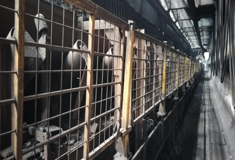 Conveyor Belt & Mechanical Services